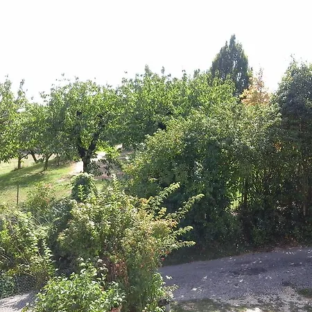 Vaiolet *