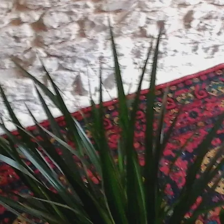 Vaiolet Ferienhaus Quinto di Valpantena