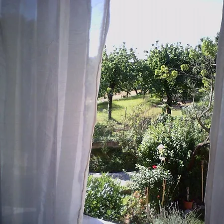Vaiolet Ferienhaus *