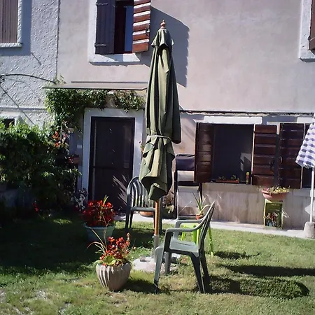 Vaiolet *